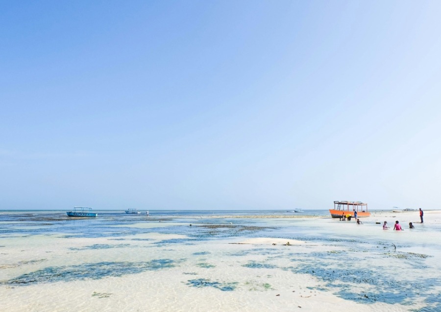 Images Slider (12)