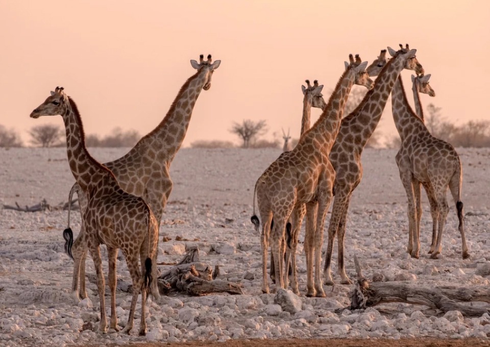 Images Slider (18)