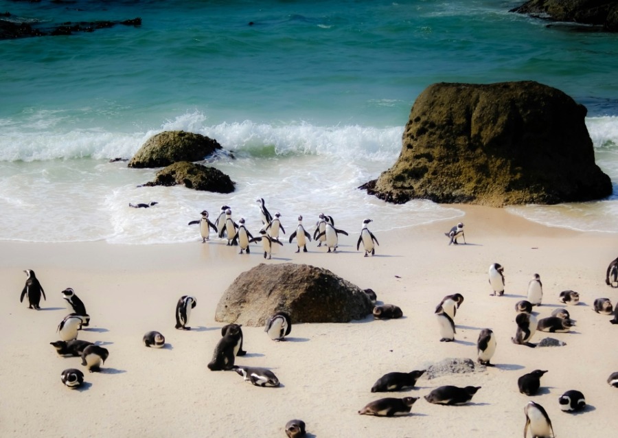Images Slider (41)
