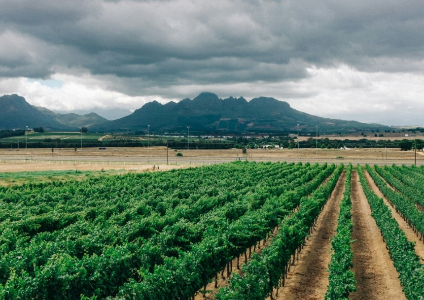 Images Slider (42)